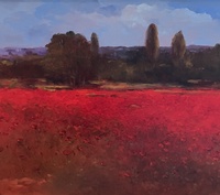 Poppy Love